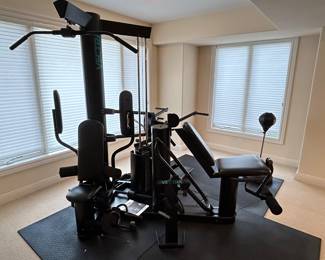 Vectra 1800 gym set ~