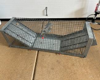 Racoon trap ~