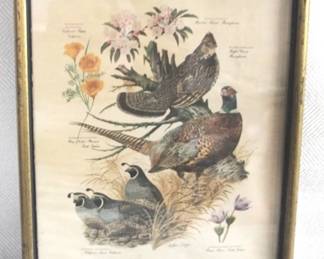 7115 - Framed Print - 13.5" x 11"
