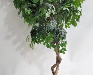 3411 - Faux Tree in Planter - 80" tall

