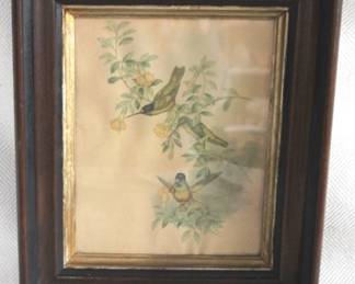 7632 - Walnut Shadowbox Frame w/ Print - 14" x 11.75"
