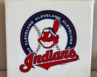 Cleveland Indians Seat Cushion 