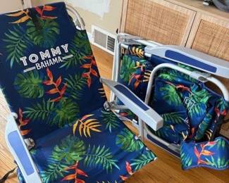 Pair of Lawn Chairs