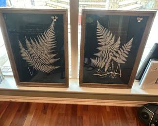 Brand new botanical pair framed art of navy blue and white ferns