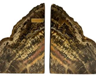 Petrified Wood Bookends