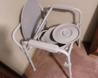 Combination shower chair and bed size toilet.