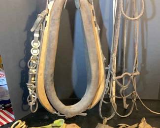 Horse Collar, Bridle Corn Schuckers