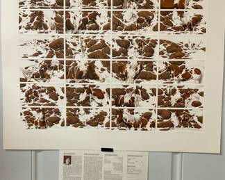 "Hide and Seek" Bev Doolittle