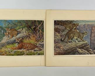 Vintage Big Cat Color Prints