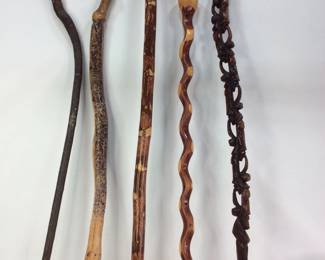 A Walking Stick A Day