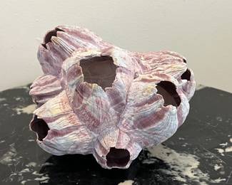 Lot 2 | Natural Purple Acorn Barnacle Shell
