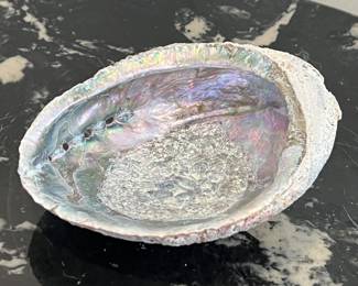 Lot 4 | Abalone Sea Shell Bowl Shell
