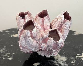 Lot 3 | Natural Purple Acorn Barnacle Shell
