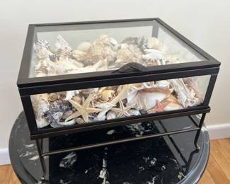 Lot 15 | Feather Motif Clear Glass Display Box on Feet

