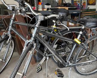 Raleigh Detour 3.5 Mens + Womens Bicycles