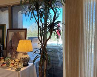 Great 9 foot Palm she spent a lot of money on this!