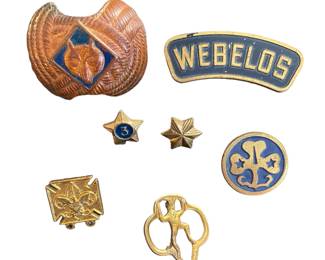 Boy Scouts & Girl Scouts pins