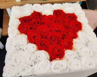 Venus Et Fleur Eternity Roses