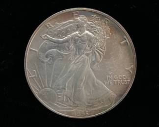 1995 Toned Walking Liberty Silver Dollar .999 Silver