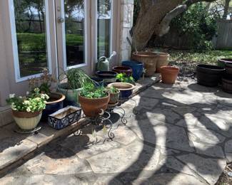 Beautiful plants and pots