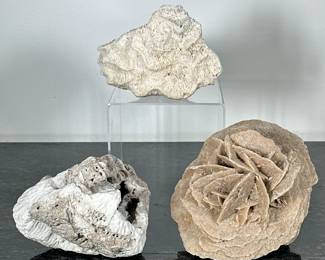 (3pc) CORAL & CRYSTALS | Including: Selenite Desert Rose crystal structure, Brain coral, and other fossilized coral. -  h. 5 x w. 6 x d. 5.5 in (largest)

