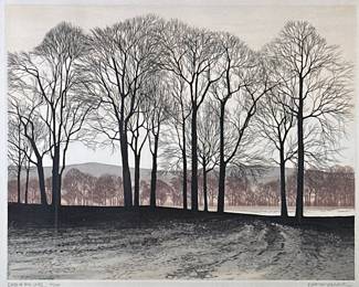 KATHLEEN CADDICK (English b. 1937), LITHOGRAPH | Edge of the Lake. Lithograph
14.5 x 18 in. Sight. Signed, titled, and numbered “40/200” on bottom - h. 21.25 x w. 24.25 in (Frame)