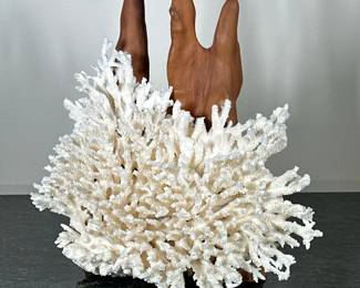 (2pc) CORAL & CARVED WOOD | White delicate coral with carved wood for support. - h. 9 x w. 12 x d. 4 in (coral)
