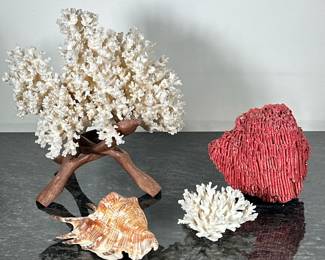 (4pc) CORAL & SHELL | Including: large & small bleached coral with wood stand, red tubular coral, and conch shell - h. 9.5 x w. 9 x d. 6 in (largest
