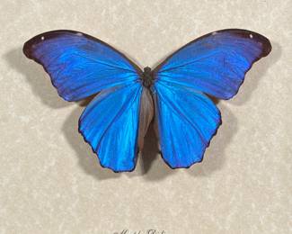 Jim Cooper Painting | Barbados Shore . Oil on canvas
Signed lower right.  - h. 21 x w. 24.5 in