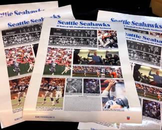 Seahawks Poster 15 Years Of NFL Football