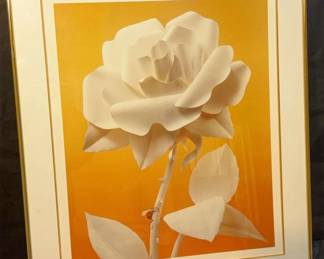 1981 Framed Print By Reinhard