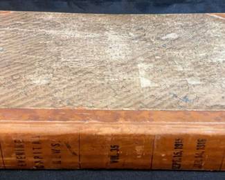 Bound newspaper portfolio