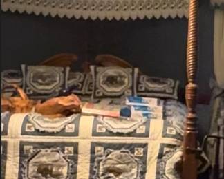 Beautiful Four Poster King Bed - can also be a canopy