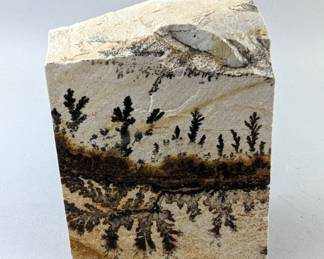 Dendritic Sandstone Specimen, 4.75" x 3.75" 