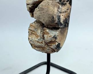 Petrified Wood Specimen On Metal Display Stand, 7.75" Tall 