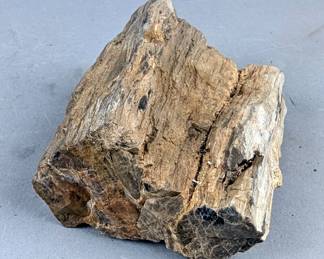 Petrified Wood Mineral Specimen, 4" 