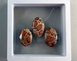 Polished Leopardite Jasper Oval Cut Cabochons, Qty. 3, 90.85 Total Carat Weight 