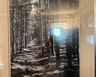 Morton Goldman Photograph