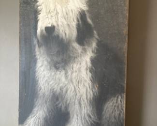 Large Sheep dog on board 