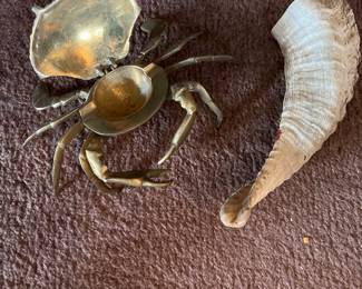 Brass Clam and Rams Horn