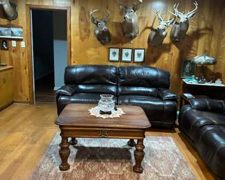 Deer mounts taxidermy 