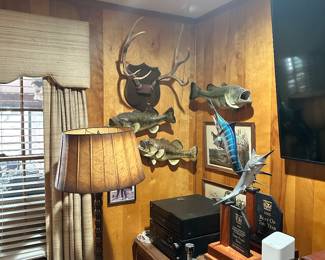 Fish mounts taxidermy 