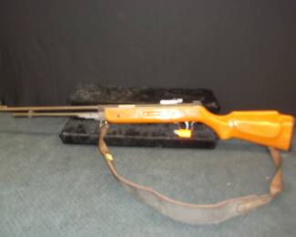 Pellet Gun