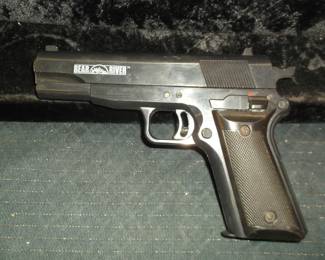 Bear River Pellet Gun