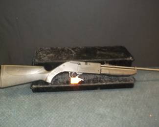 Pumpmaster 760 Pellet Gun