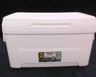 Igloo Cooler