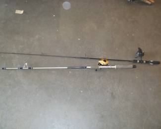 Fishing pole