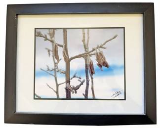Framed and Signed Landscape Photograph