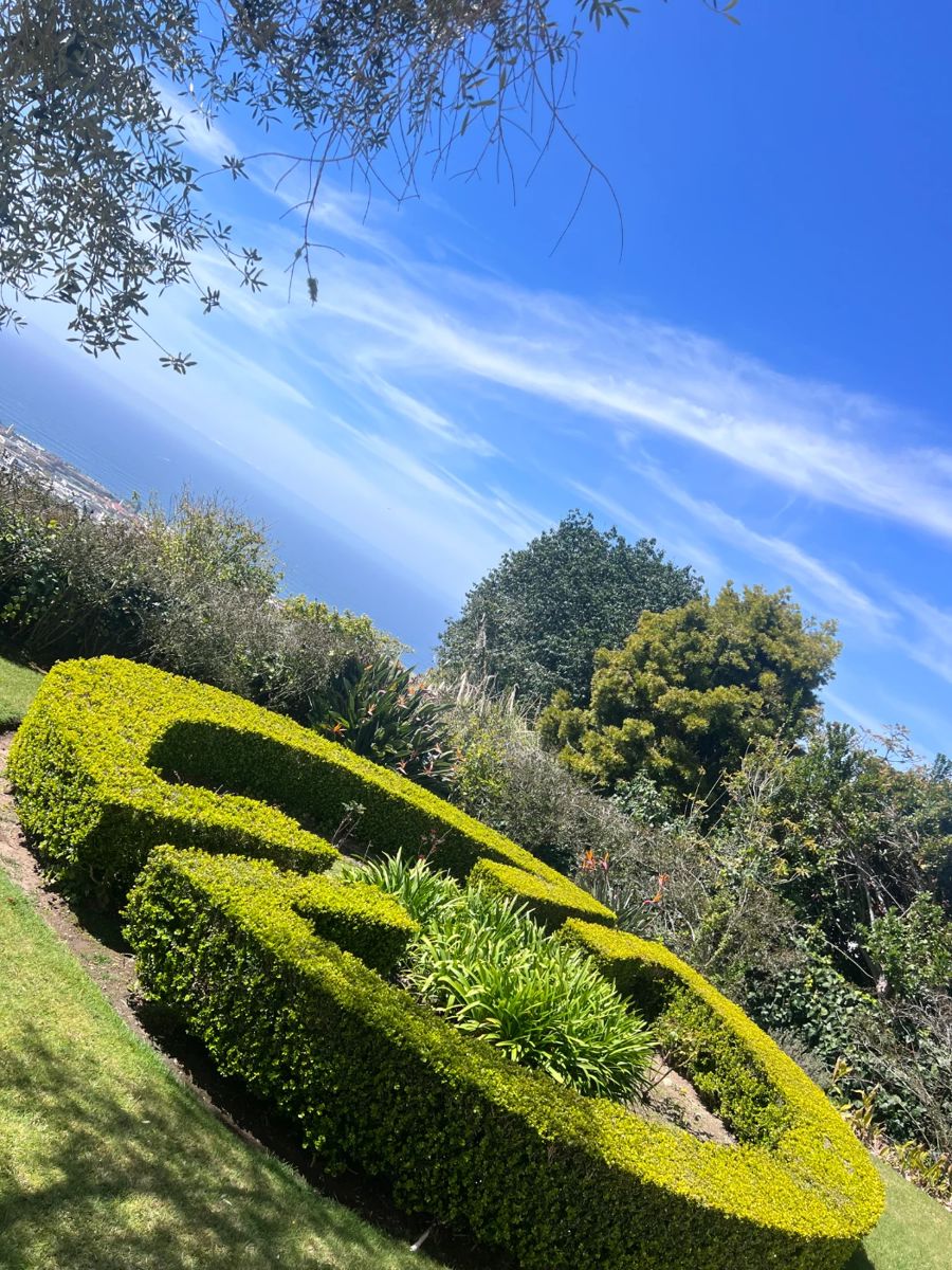 Our beautiful La Jolla home this week!