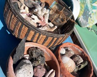 Lots of shells